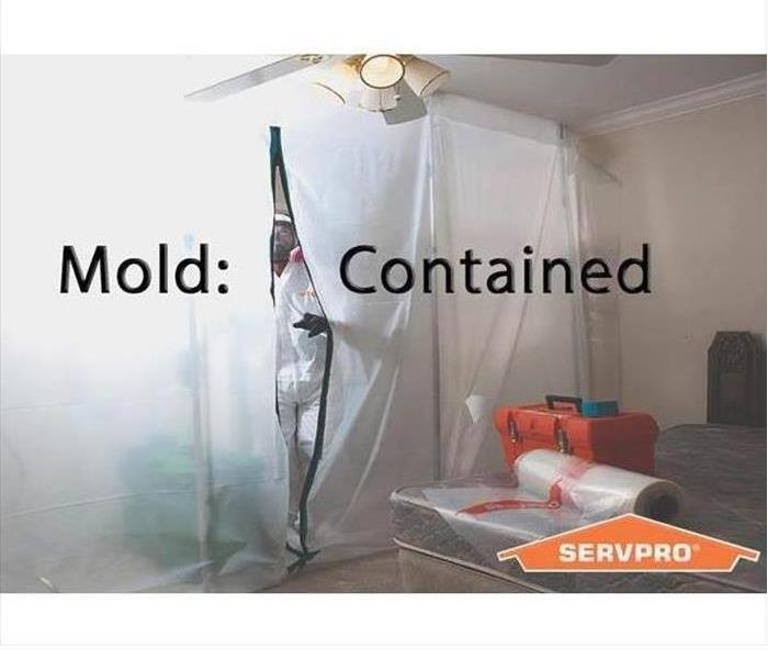 mold contained